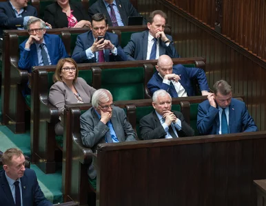 Miniatura: Olczyk: Opozycja zdobywa przewagę nad PiS