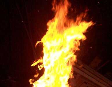 Miniatura: Lubań: rząd pomoże właścicielom spalonej...