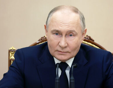 Miniatura: Putin podziękował Szojgu. Były minister...