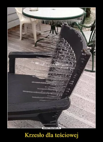 Mem z okazji Dnia Teściowej 