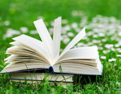 Miniatura: Trudny QUIZ z przysłów. Uważasz się za...