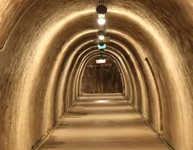 Miniatura: Remontowali dom i trafili na zaskakujące...