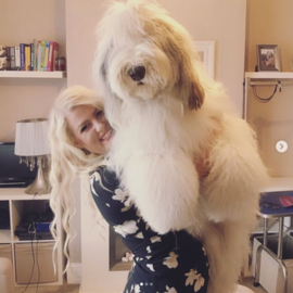 Miniatura: Ten pies jest naprawdę gigantyczny....