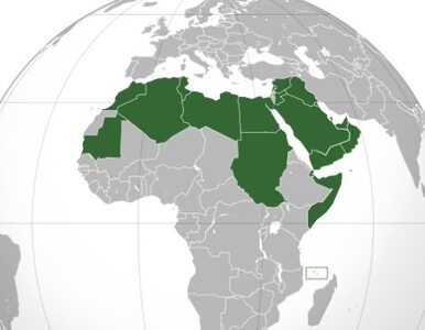 Miniatura: Liga Arabska o miesiąc przedłuża misję...