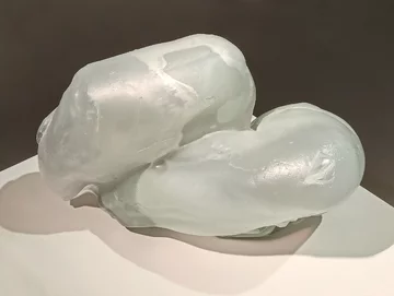 Bibro Grzegorz, Human Moults 