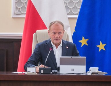 Miniatura: Donald Tusk o wsparciu finansowym:...