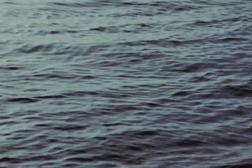 Lampa w kształcie wieloryba Yoshiki Matsuyama v2com, Yoshiki Matsuyama