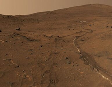 Miniatura: Na Marsie występowały kiedyś duże ilości...