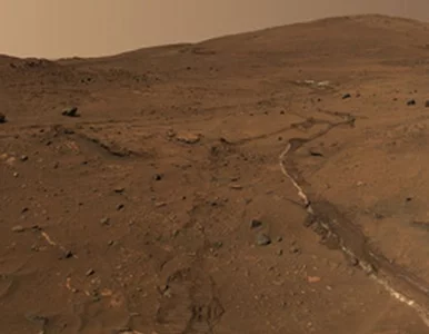 Miniatura: Na Marsie występowały kiedyś duże ilości...