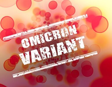 Miniatura: Wariant Omikron – aktualne informacje....