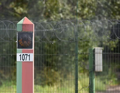 Miniatura: Oburzające działanie, po raz pierwszy na...