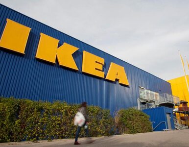 Miniatura: Ikea ma nową fabrykę w Polsce