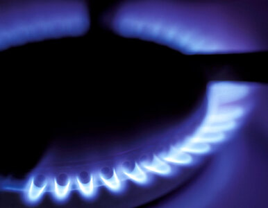 Miniatura: PGNiG z rekordową sprzedażą gazu