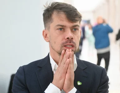 Miniatura: Afera Collegium Humanum. Polityk z rządu...