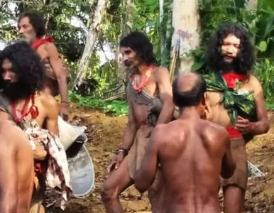 Miniatura: Prawdziwa cena rezygnacji z silników...