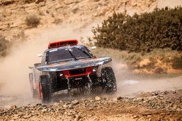 Audi RS Q e-tron 