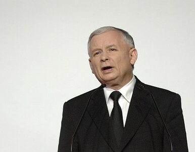 Miniatura: Sondaż: PiS daleko ucieka PO. Pięć partii...