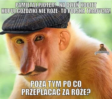 Memy z okazji Dnia Kobiet 