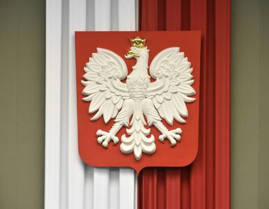 Miniatura: Chcą zmienić godło i flagę Polski. „2025...