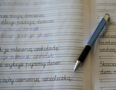 Miniatura: Błyskawiczny test z języka polskiego....