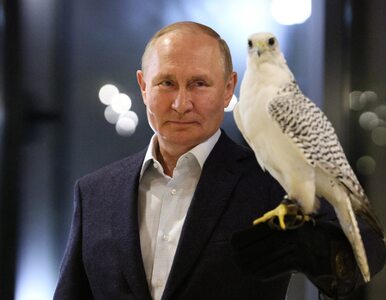 Miniatura: Putin zdecydował, pierwsze efekty...