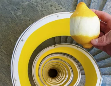 Miniatura: Ten fotograf lubi zaskakiwać i jest w tym...