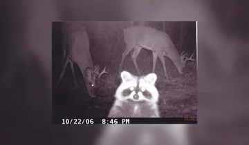 Selfie z kolegami? Proszę bardzo 