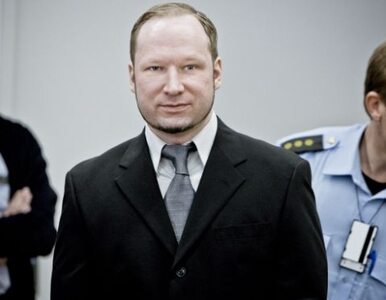 Miniatura: Proces Breivika: zeznają pierwsi...