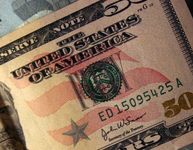 Miniatura: Sarkozy chce uniezależnić świat od dolara