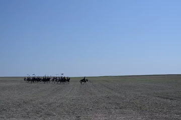 100. rocznica bitwy pod Komarowem 