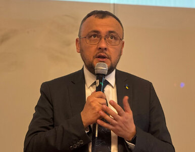 Miniatura: Wrze po słowach ambasadora Ukrainy....