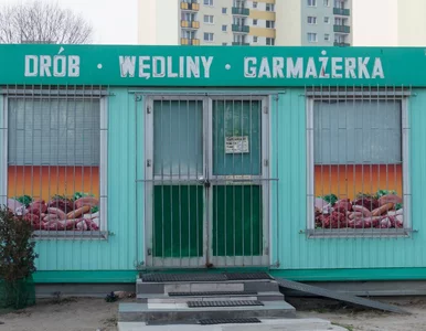 Miniatura: Franczyza albo śmierć. Polski zmierzch...