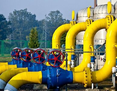 Miniatura: Gazprom wstrzyma dostawy do firm z dwóch...