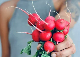 Miniatura: Jak zapisać nazwę tej rośliny?