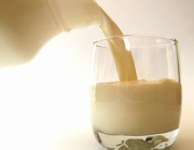 Miniatura: Poseł PiS: szklanka mleka dla dzieci...