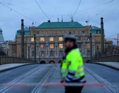 Miniatura: Szokujące ustalenia po strzelaninie w...