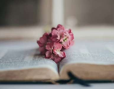 Miniatura: QUIZ językowy dla bystrzaków! 10/10 to „mus”