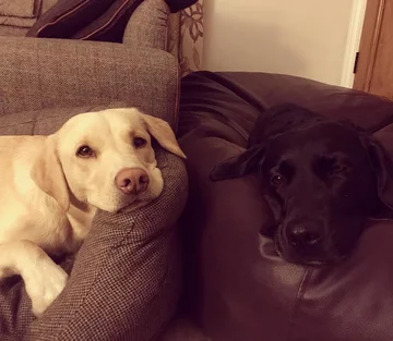 Olive i Mabel 