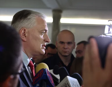 Miniatura: Gowin o sprawie Amber Gold: były uchybienia