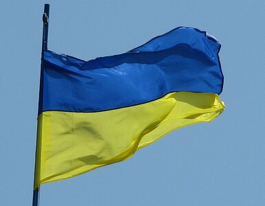 Miniatura: W Kijowie znowu pojawił się antymajdan