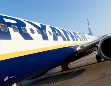 Miniatura: Ryanair wycofuje opłaty za dodatkowy bagaż...