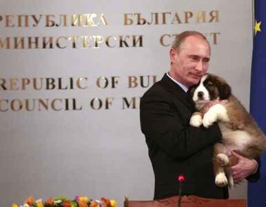 Miniatura: Pięciolatek doradcą Putina