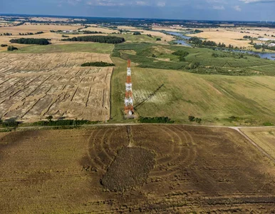 Miniatura: Tajemnicze kręgi w zbożu i zagadka sprzed...