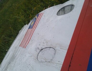 Miniatura: Separatyści już na miejscu katastrofy....