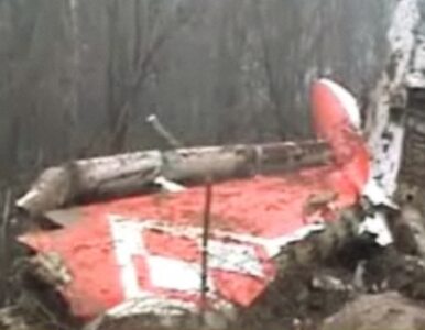 Miniatura: Szczątki Tu-154 wrócą do Polski