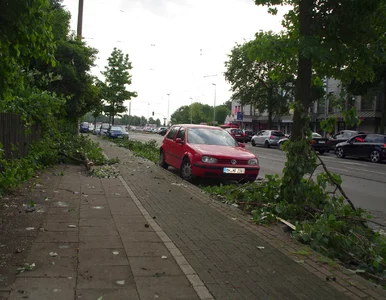 Miniatura: Niemcy. Trąba powietrzna przeszła przez...