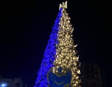 Symbol niezłomności Ukraińców. W Kijowie zapalono świąteczną choinkę