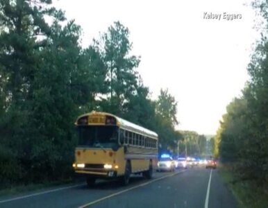 Miniatura: USA: miał nóż, porwał autobus z dziećmi