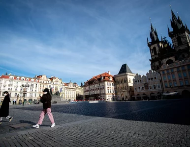 Miniatura: Czechy. Duży wzrost wyleczonych z...