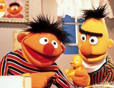 Miniatura: Twórcy "Ulicy Sezamkowej": Ernie i Bert...